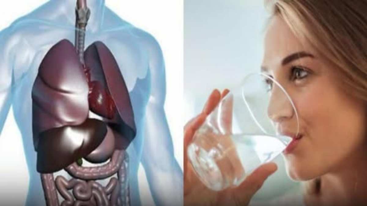 495371803_122199237242114551_433703746409905544_n1 - Geniales What Happens When You Drink Warm Water on an Empty Stomach in the Morning
