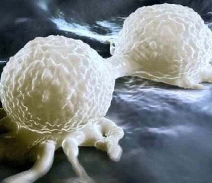 fb55 - Geniales “Stop Eating Sugar Immediately,” Warn Cancer Researchers — Here’s What You Need to Know
